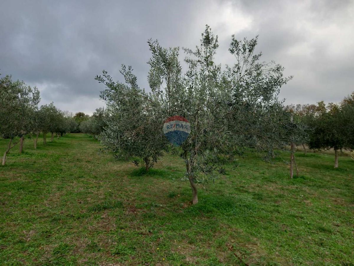 Terreno non edificabile Juršići, Svetvinčenat, 2.449m2