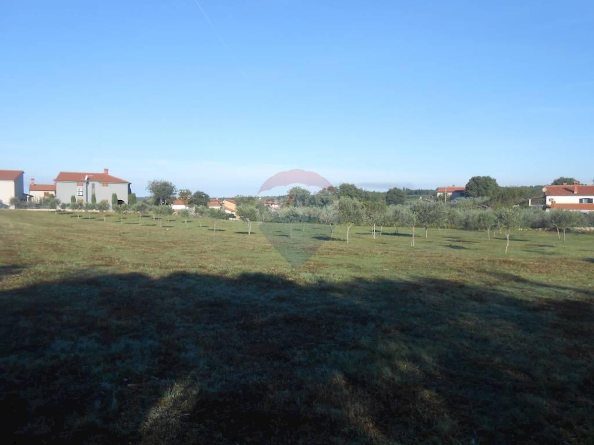 Terreno agricolo Galižana, Vodnjan, 5.520m2