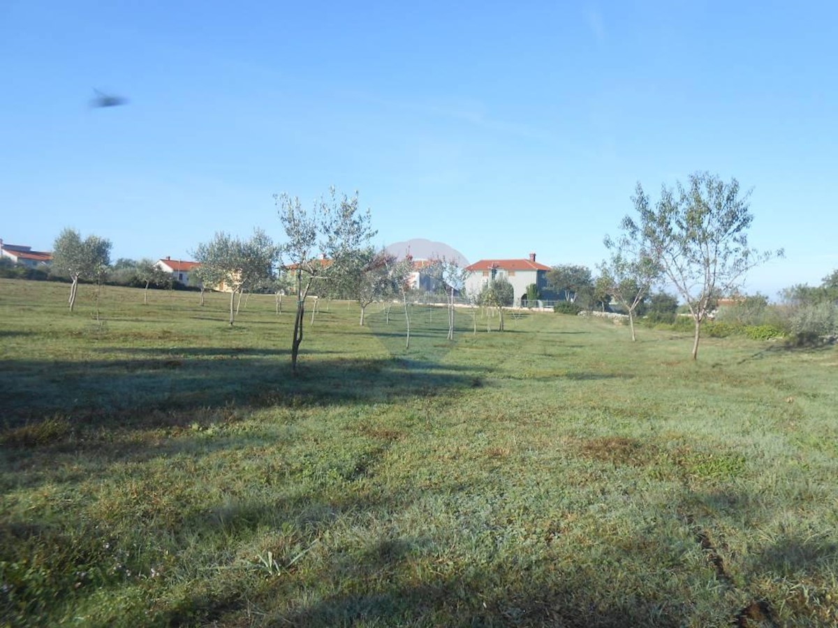 Terreno agricolo Galižana, Vodnjan, 5.520m2