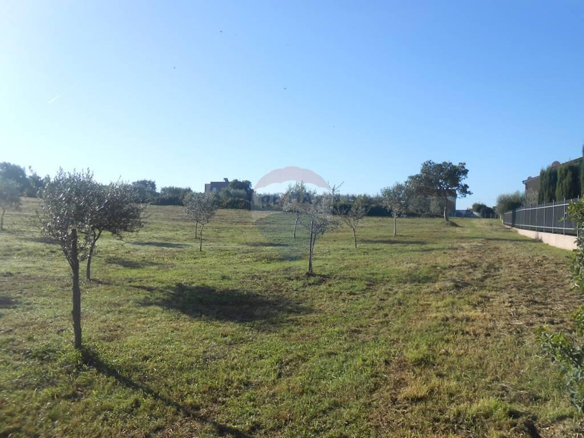 Terreno agricolo Galižana, Vodnjan, 5.520m2