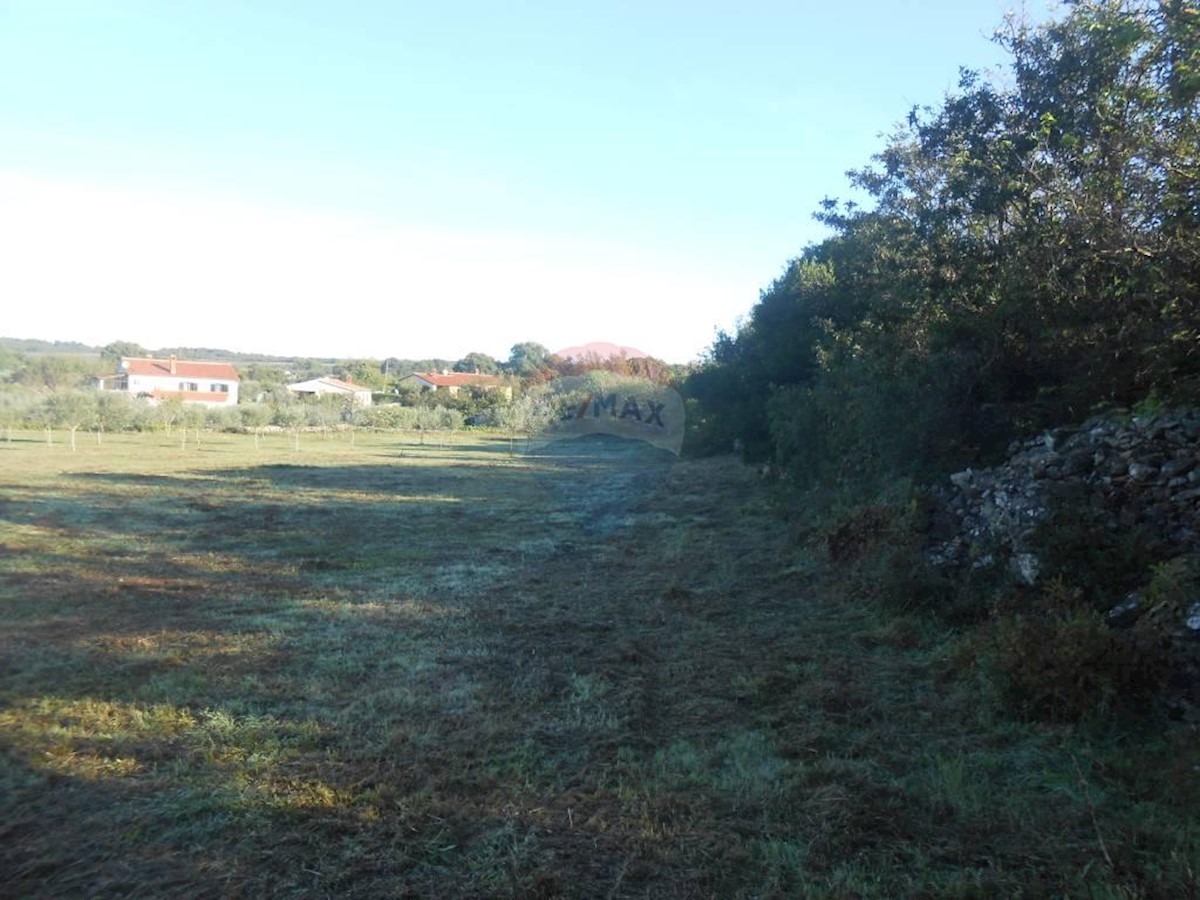 Terreno agricolo Galižana, Vodnjan, 5.520m2