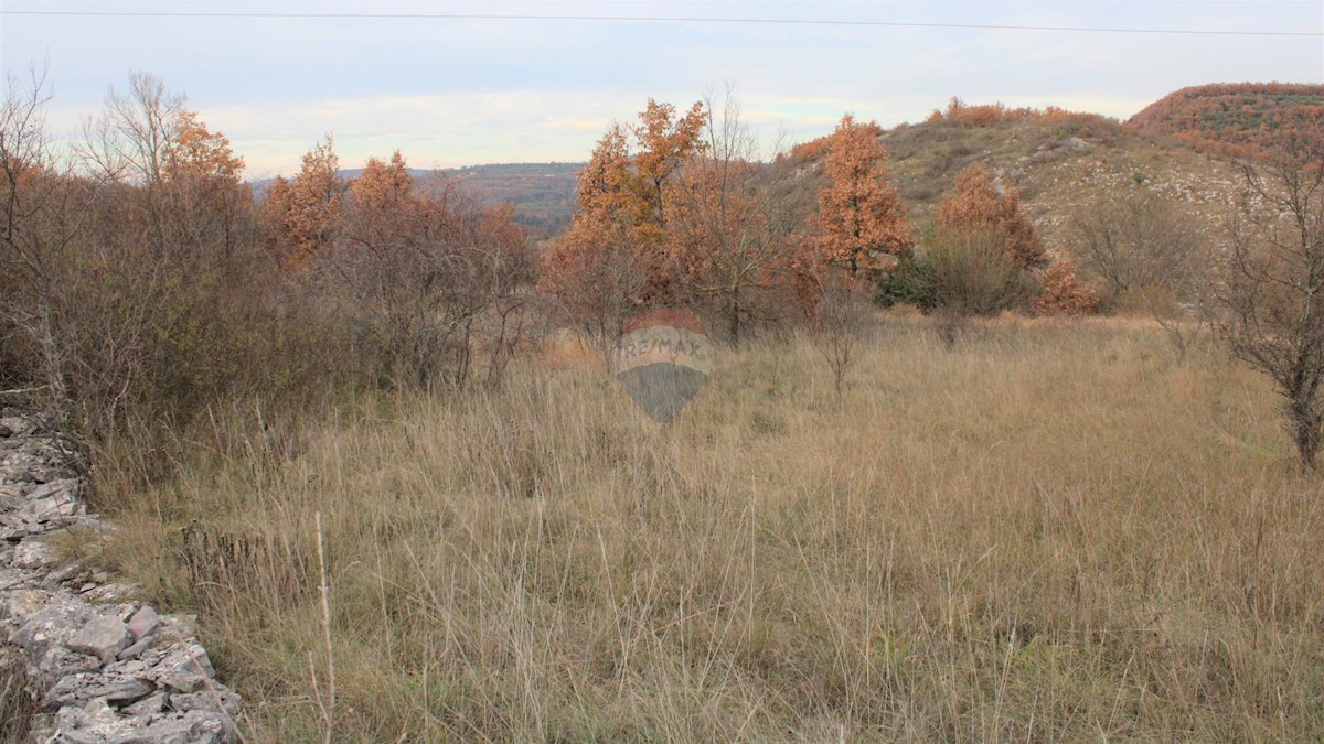 Terreno edificabile Momjan, Buje, 8.039m2