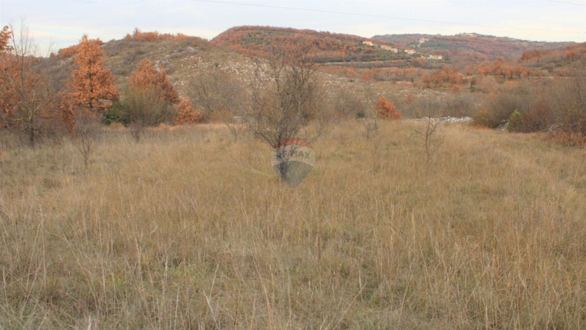 Terreno edificabile Momjan, Buje, 8.039m2