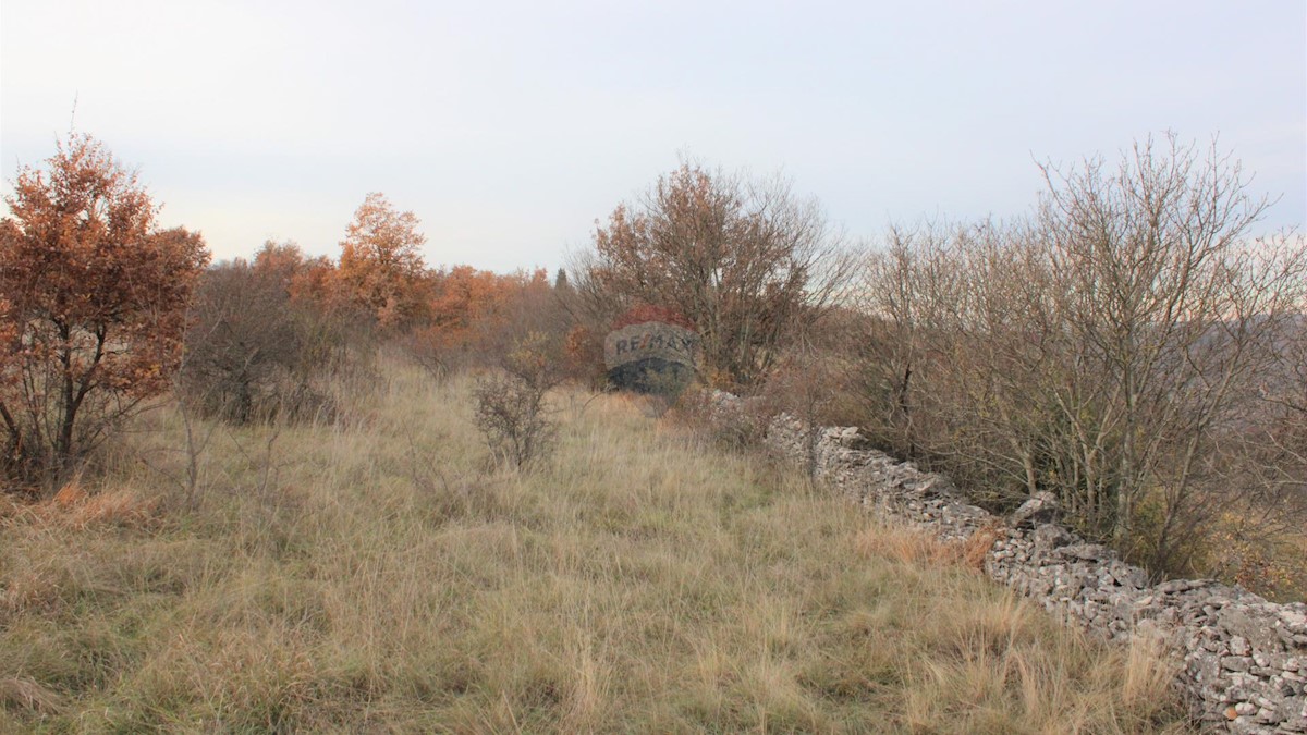 Terreno edificabile Momjan, Buje, 8.039m2