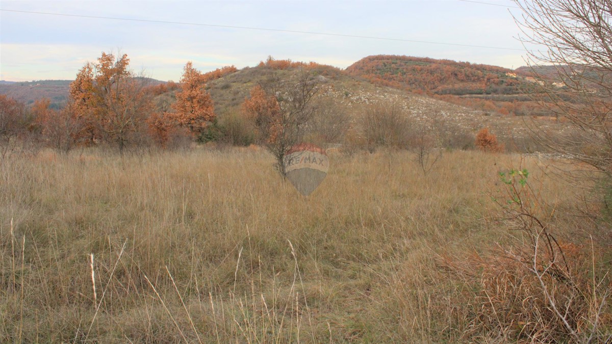 Terreno edificabile Momjan, Buje, 8.039m2