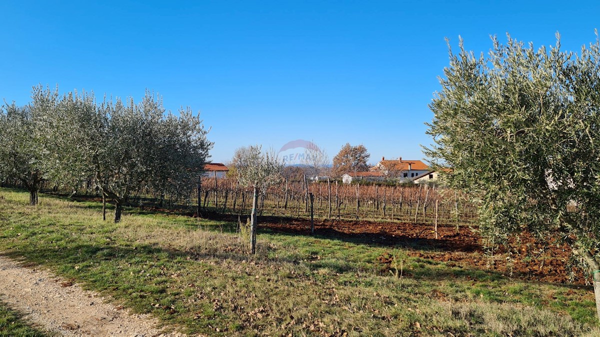 Casa Sveti Lovreč, 189m2