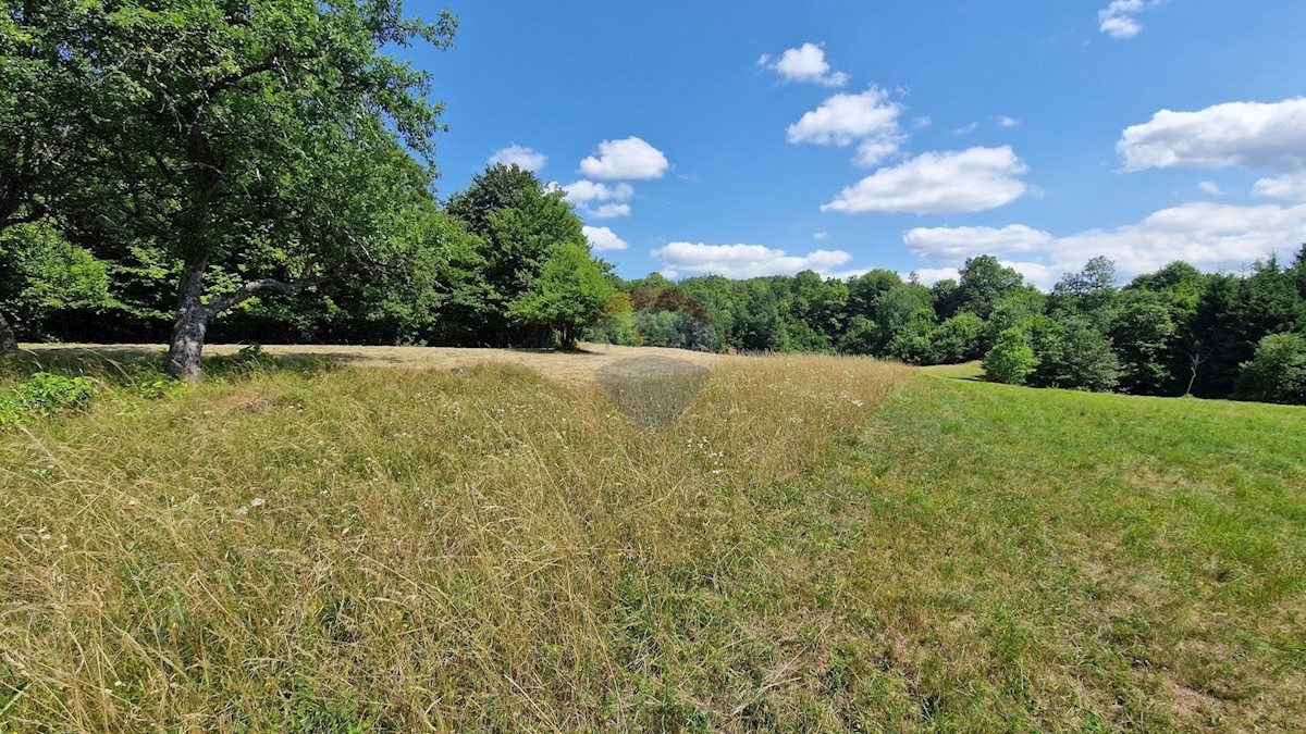 Terreno non edificabile Zaumol, Vrbovsko, 3.100m2