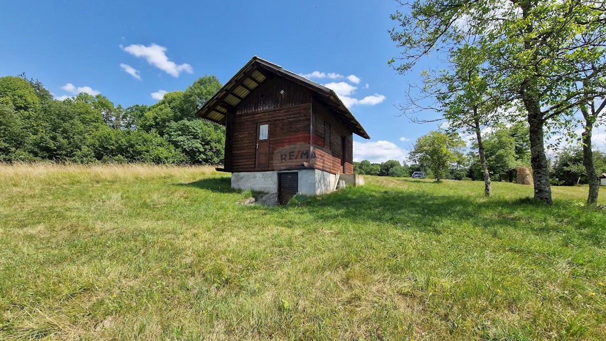 Terreno non edificabile Zaumol, Vrbovsko, 3.100m2