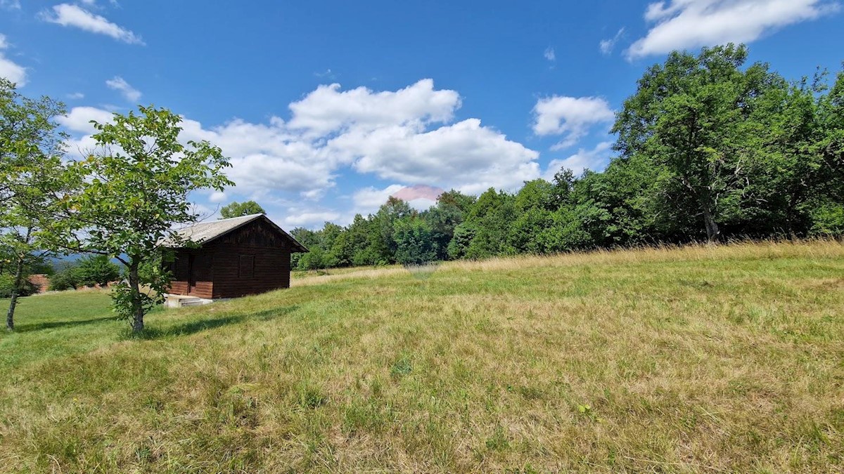 Terreno non edificabile Zaumol, Vrbovsko, 3.100m2