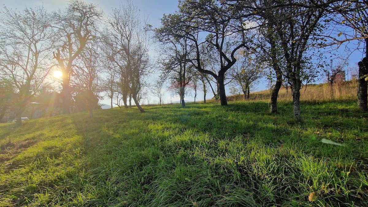 Terreno edificabile Vrbovsko, 4.184m2