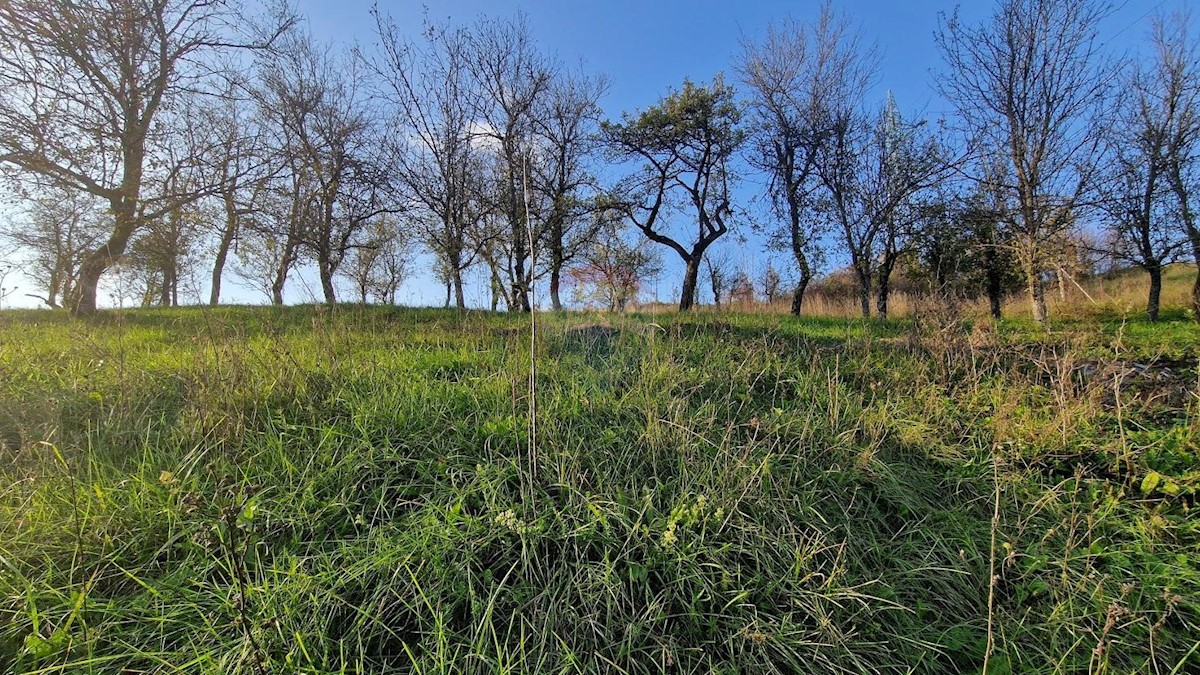 Terreno edificabile Vrbovsko, 4.184m2