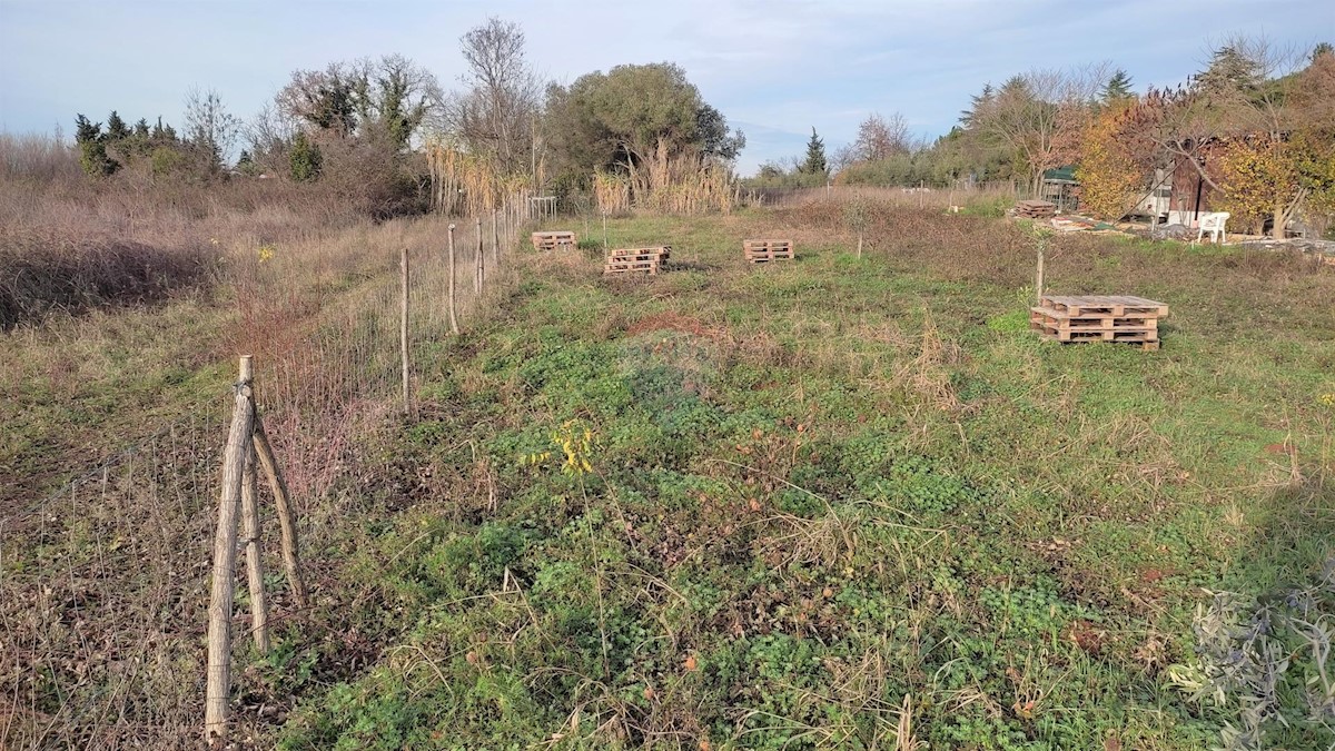 Terreno non edificabile Seget, Umag, 3.054m2