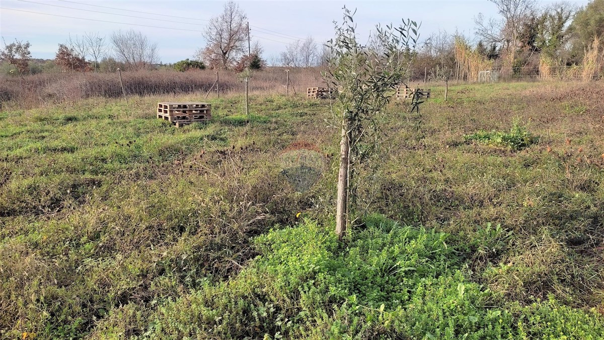 Terreno non edificabile Seget, Umag, 3.054m2