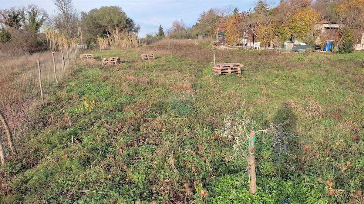 Terreno non edificabile Seget, Umag, 3.054m2