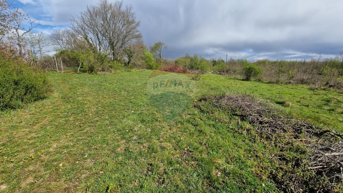 Terreno edificabile Prkačini, Žminj, 4.320m2