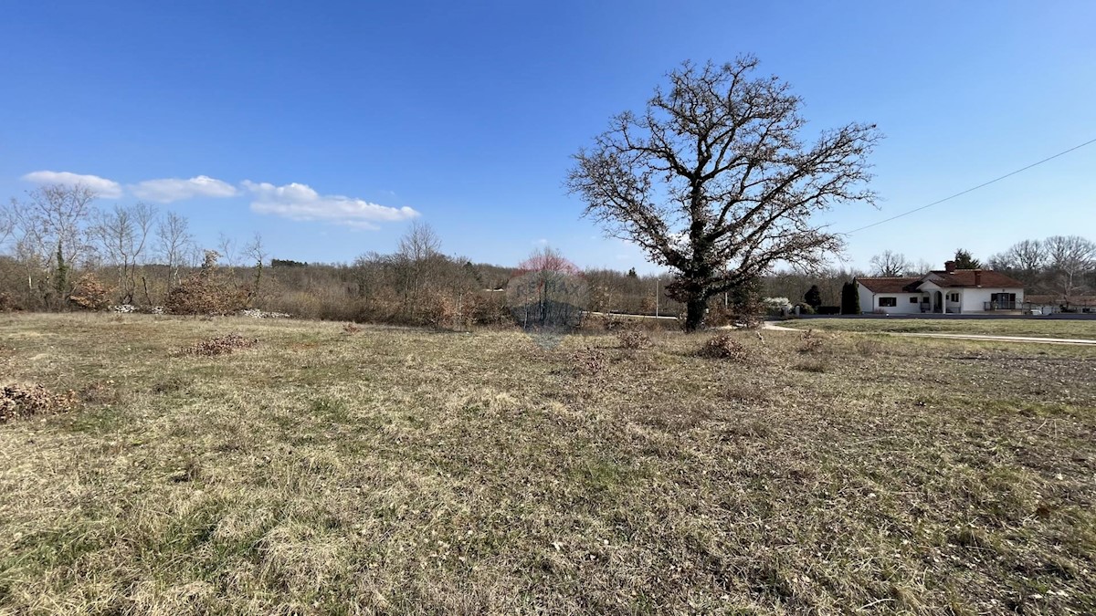 Terreno edificabile Zabrežani, Pazin - Okolica, 1.108m2