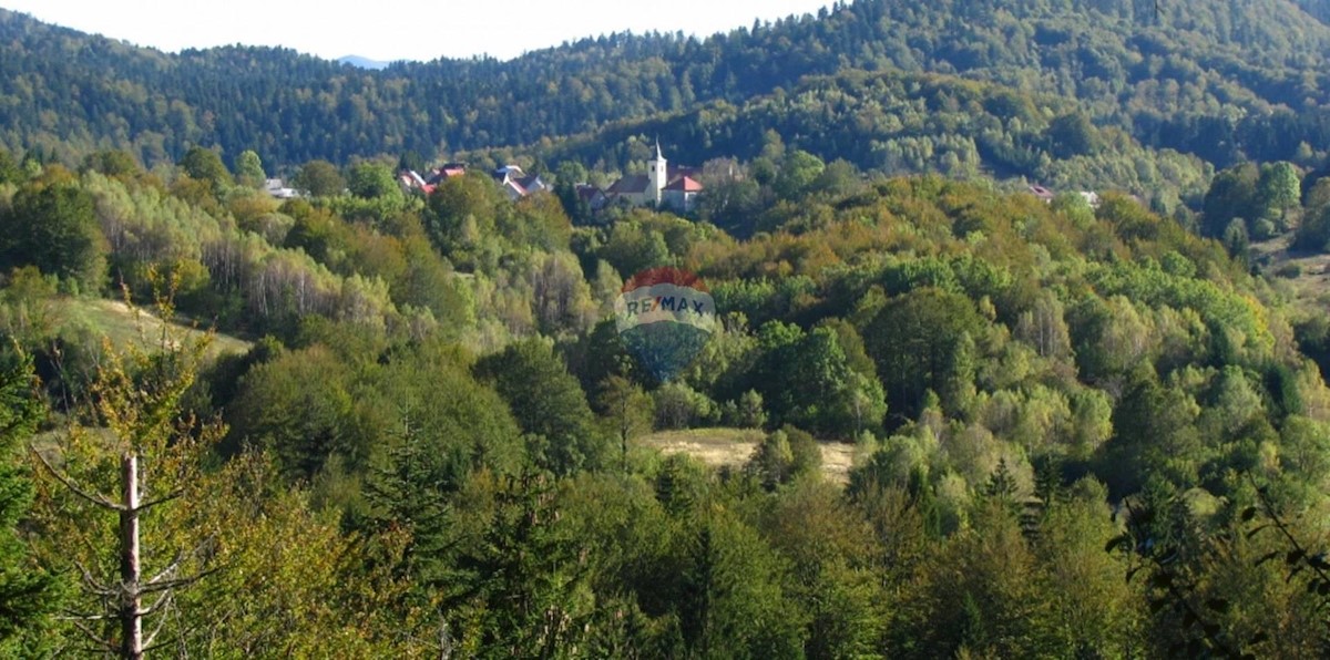 Terreno edificabile Crni Lug, Delnice, 2.415m2