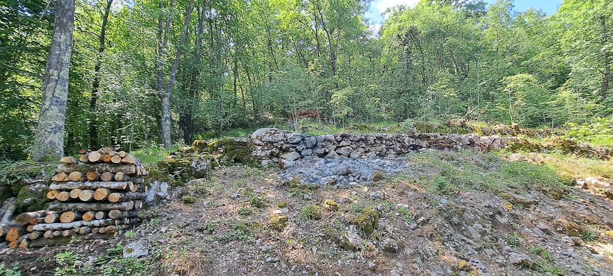 Terreno edificabile Zvoneća, Matulji, 5.387m2
