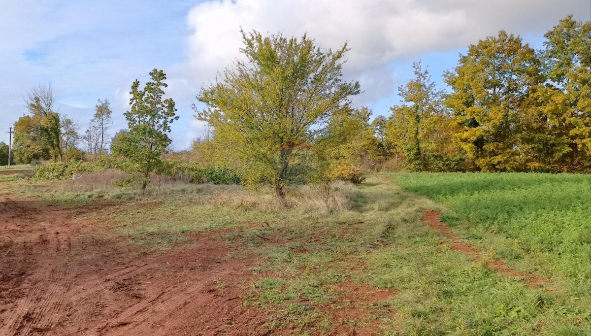 Terreno edificabile Laginji, Žminj, 1.171m2