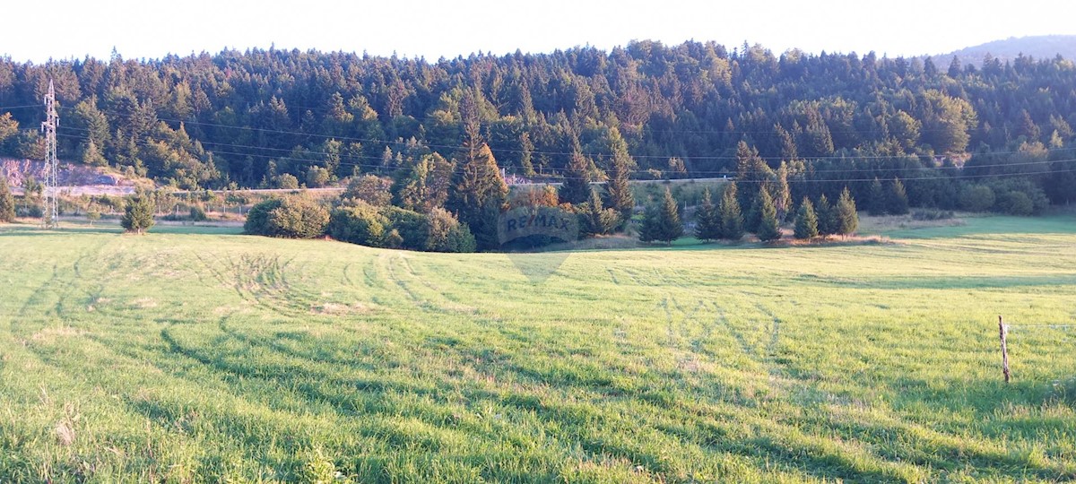 Casa Stara Sušica, Ravna Gora, 168m2