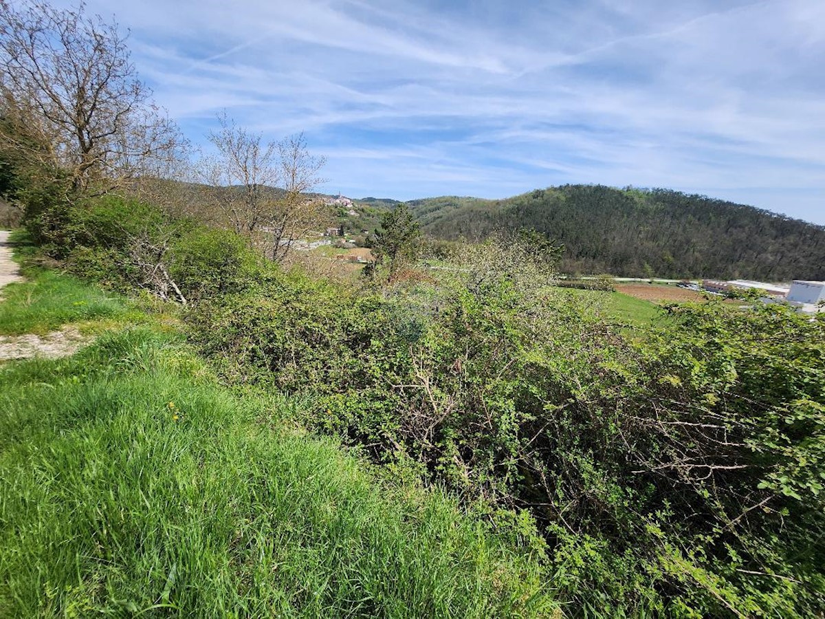 Terreno edificabile Beram, Pazin - Okolica, 8.281m2