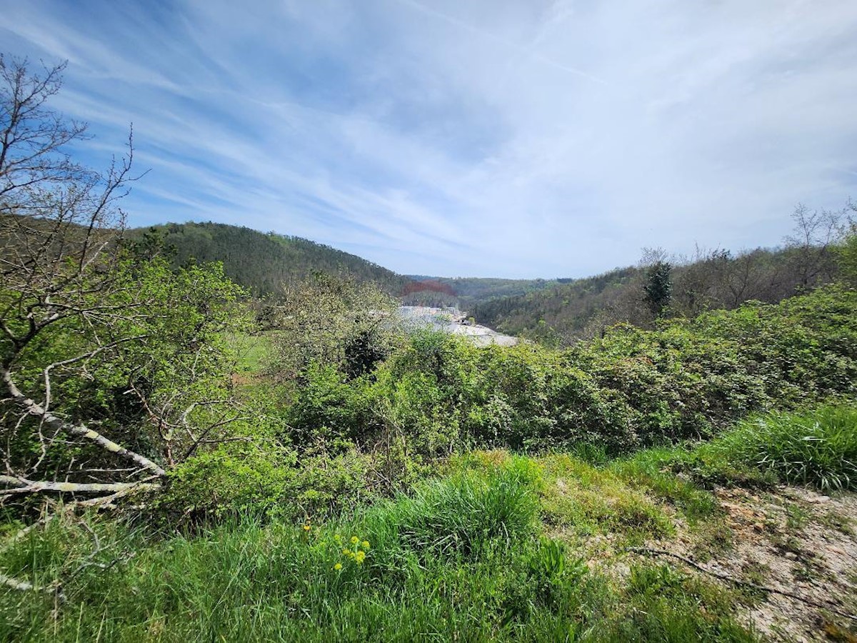 Terreno edificabile Beram, Pazin - Okolica, 8.281m2