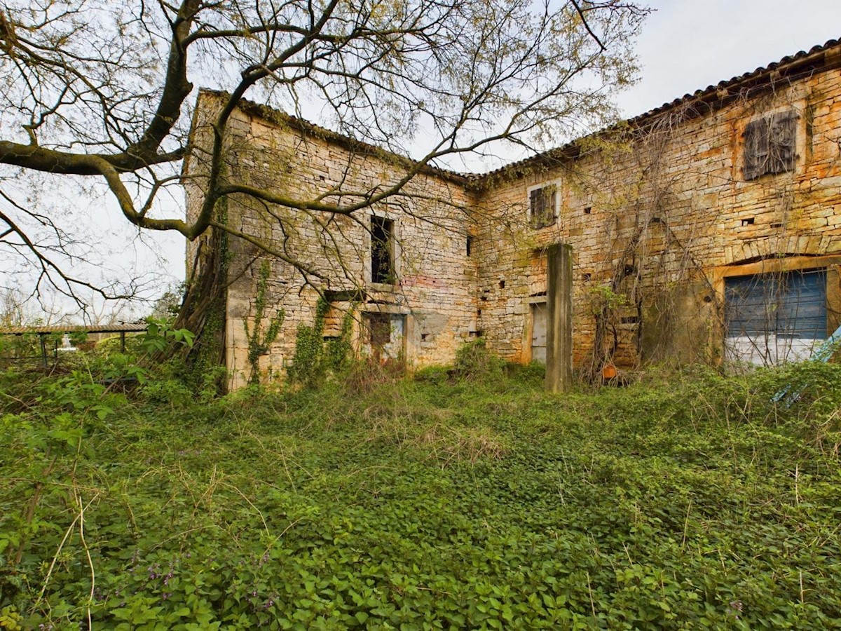 Casa Baderna, Poreč, 320m2