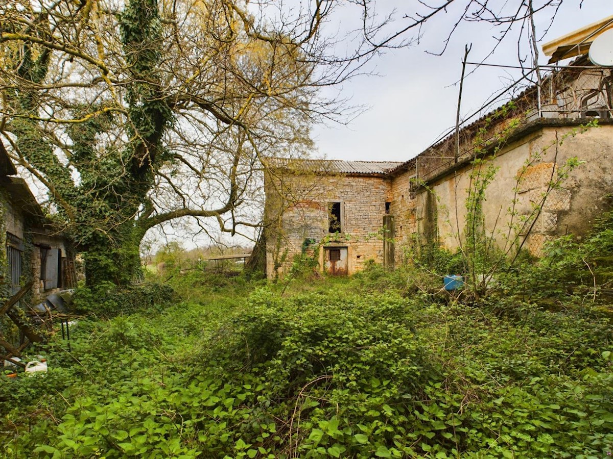 Casa Baderna, Poreč, 320m2