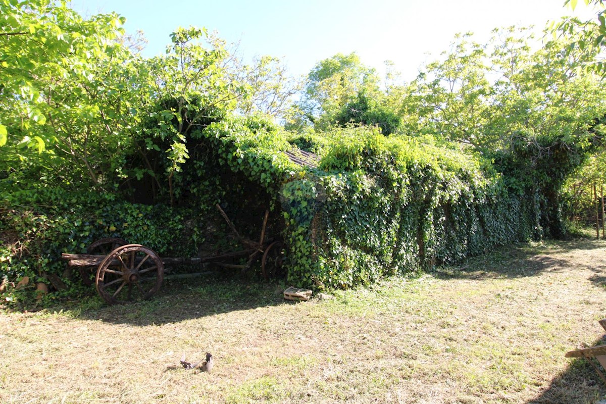 Casa Filipana, Marčana, 176m2