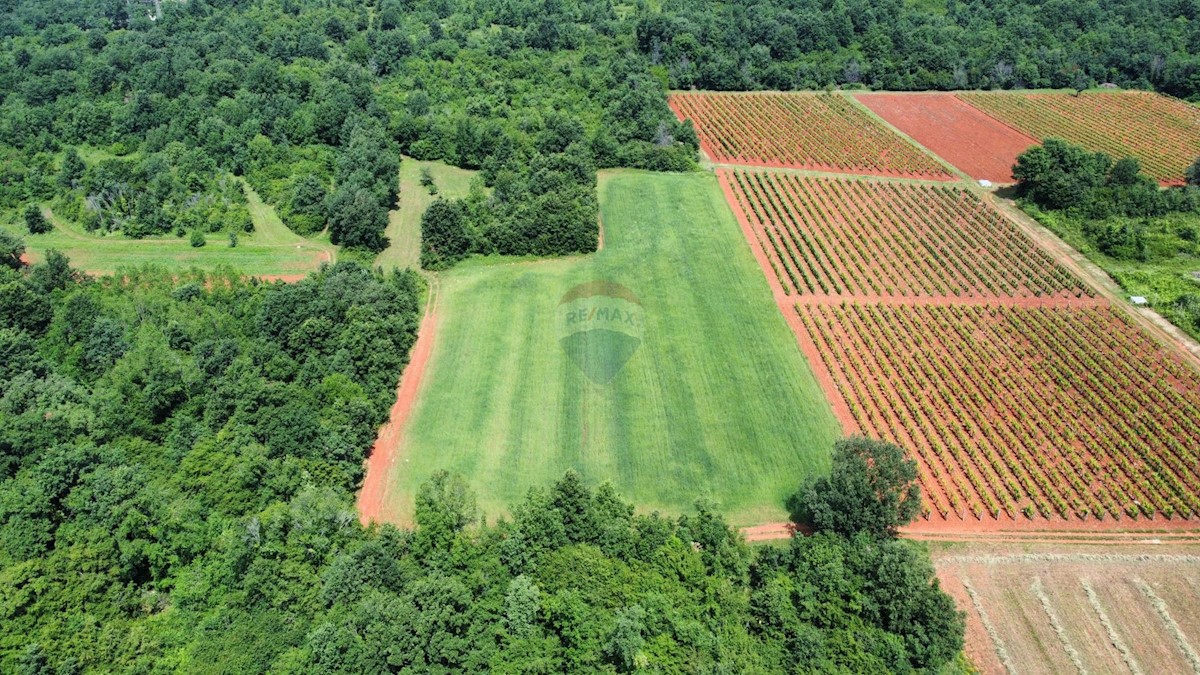 ISTRIA, POREČ - land 6420 m2 