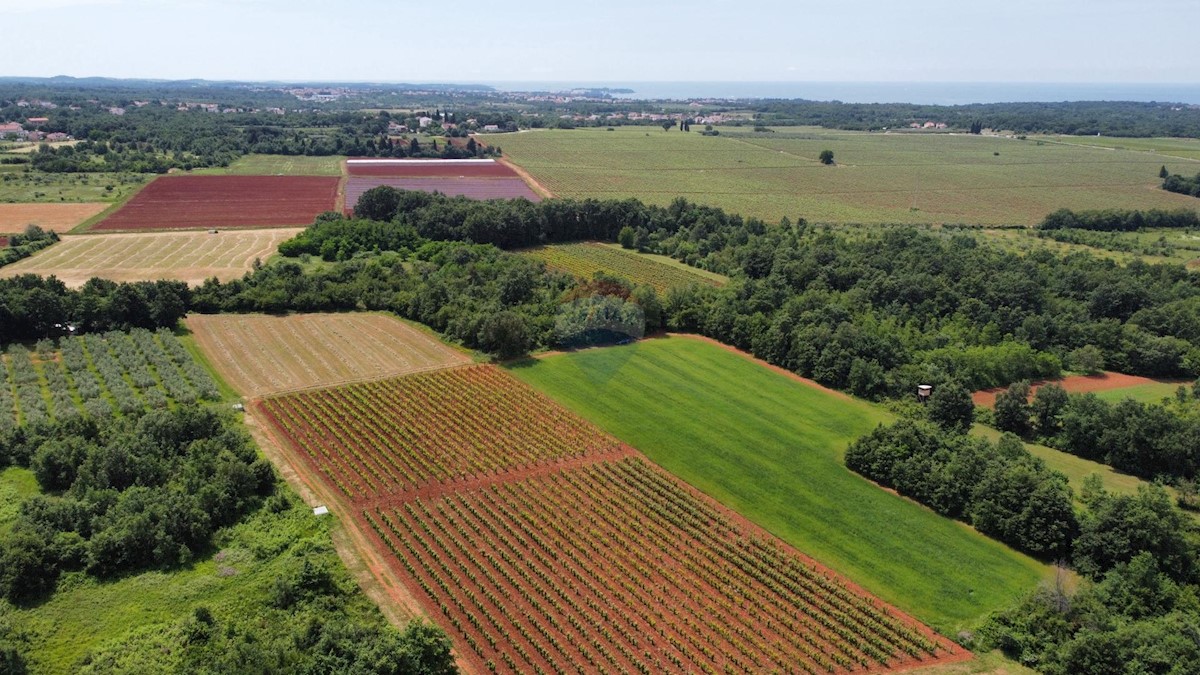 ISTRIA, POREČ - land 6420 m2 