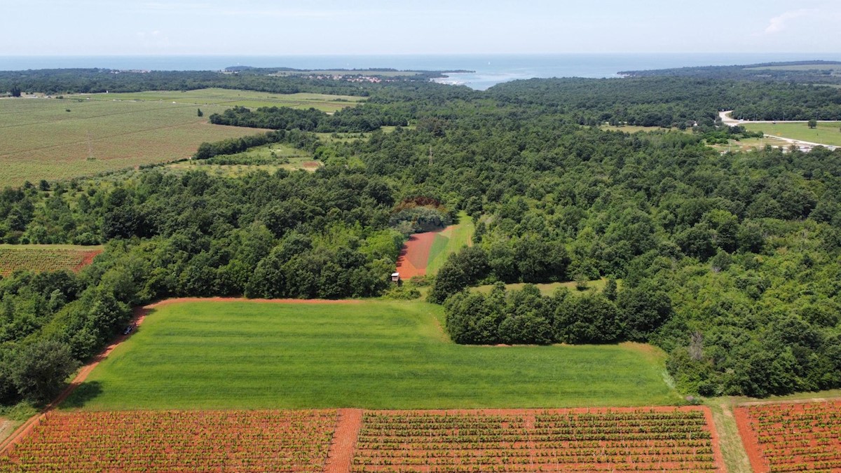 ISTRIA, POREČ - land 6420 m2 