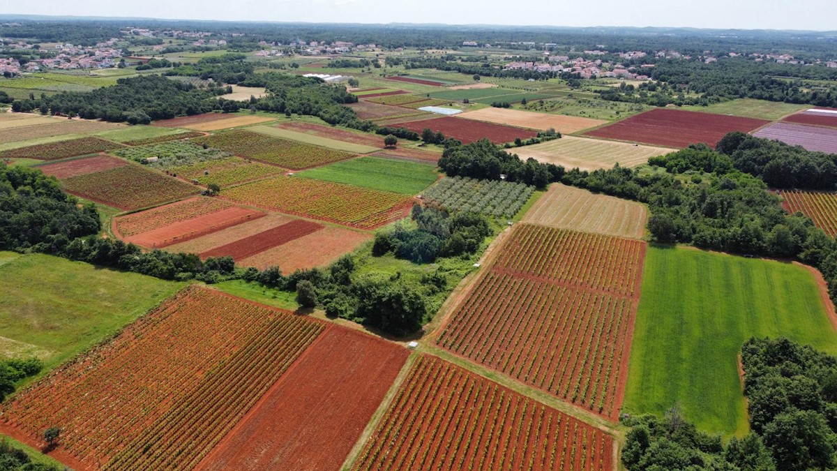 ISTRIA, POREČ - land 6420 m2 