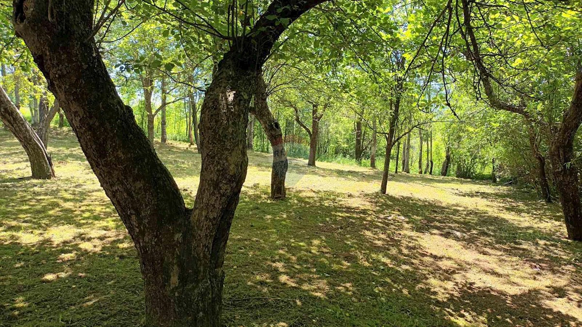 Terreno edificabile Lič, Fužine, 2.594m2