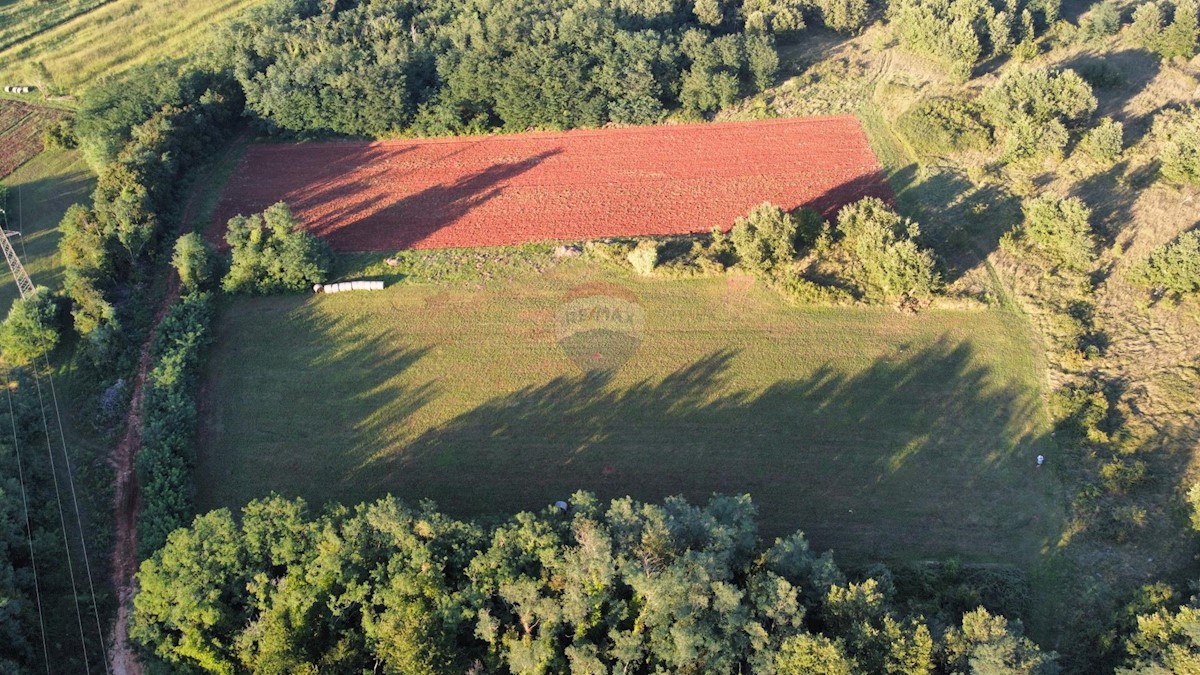 Terreno non edificabile Brtonigla, 25.109m2