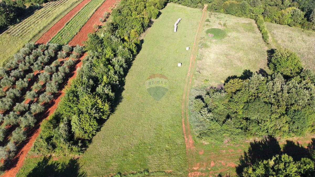 Terreno non edificabile Brtonigla, 25.109m2