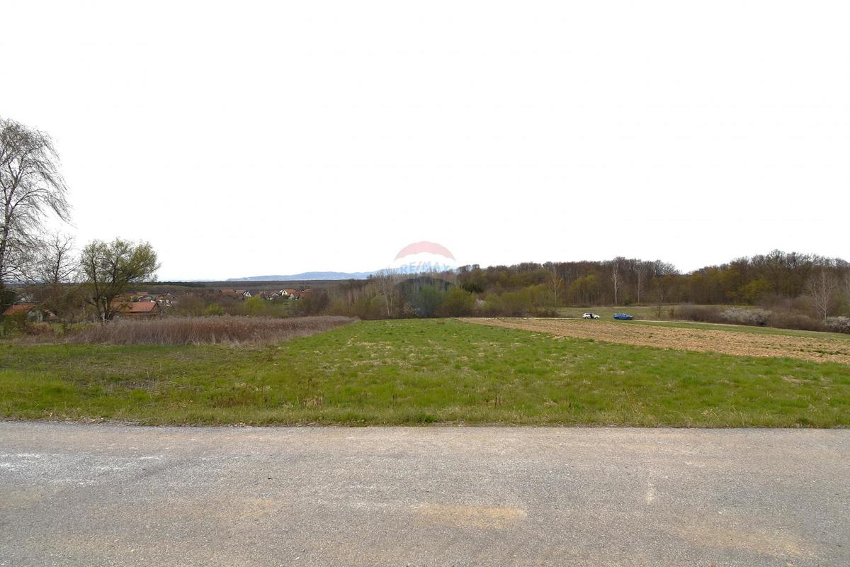 Terreno edificabile Donji Trpuci, Brezovica, 2.672m2