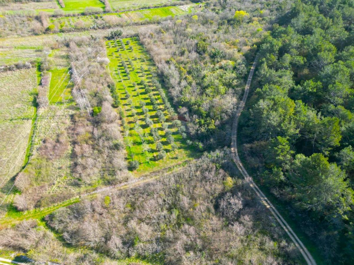 Terreno non edificabile Rovinjsko Selo, Rovinj, 5.440m2
