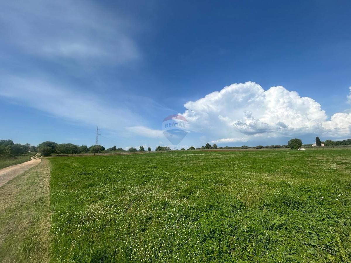Terreno edificabile Tar, Tar-Vabriga, 5.086m2