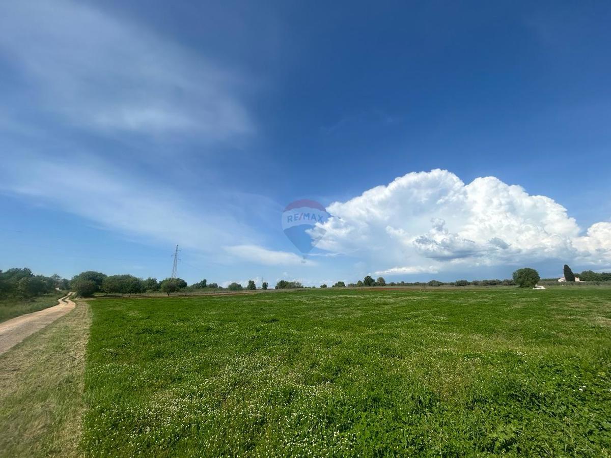 Terreno edificabile Tar, Tar-Vabriga, 5.086m2