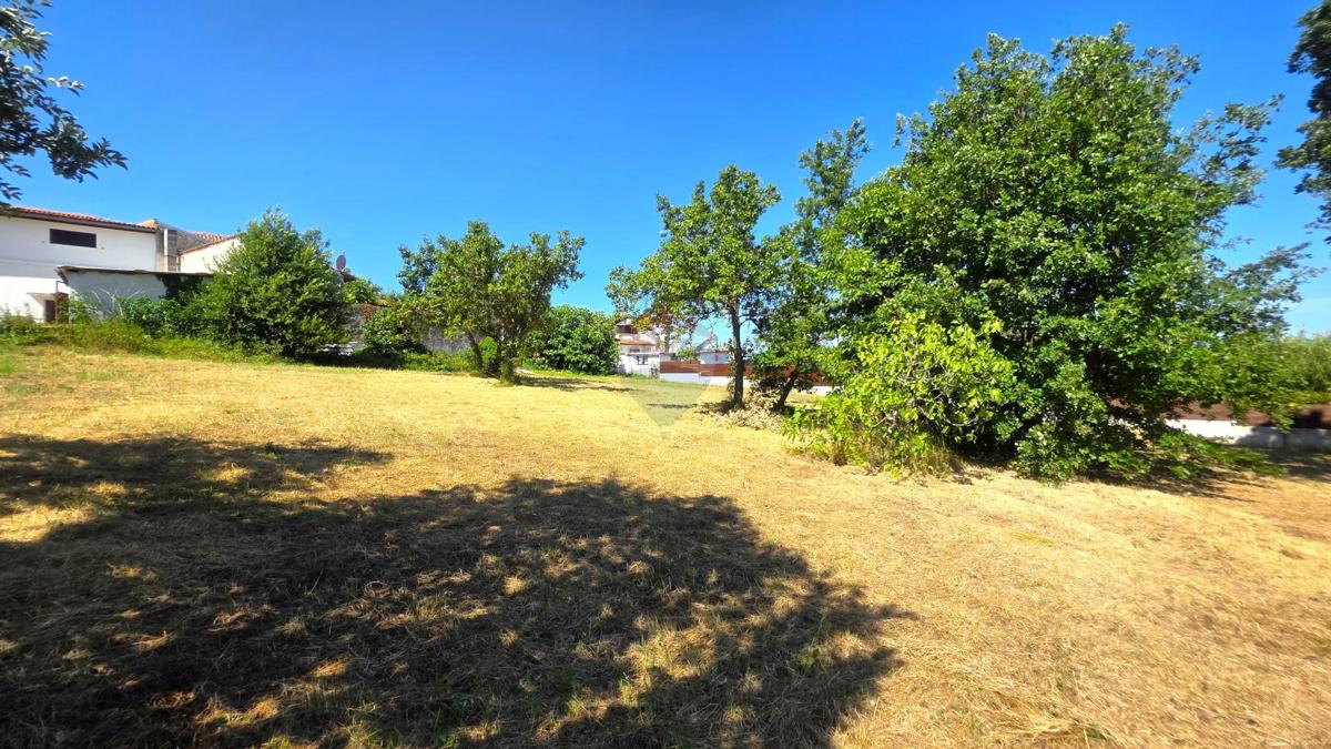Terreno edificabile Brtonigla, 516,38m2