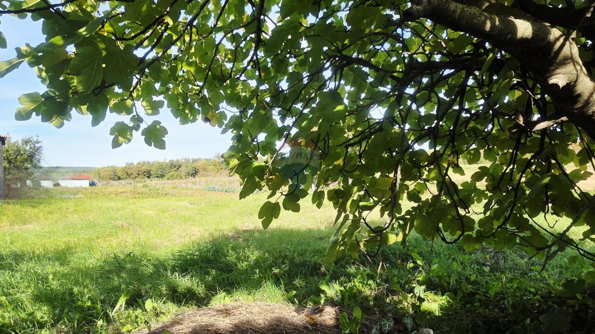 Terreno edificabile Oprtalj, 453m2