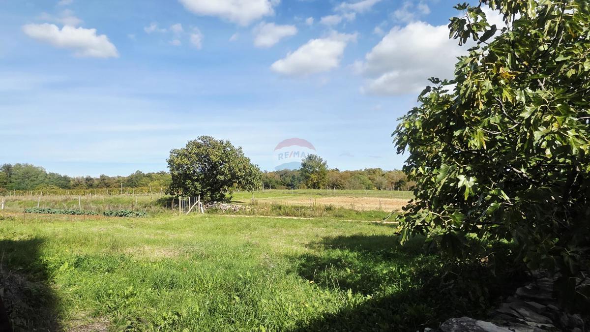 Terreno edificabile Oprtalj, 453m2