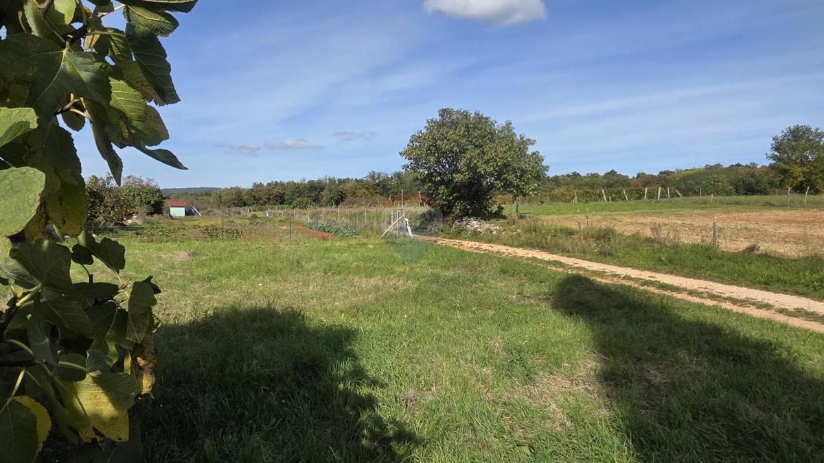 Terreno edificabile Oprtalj, 453m2