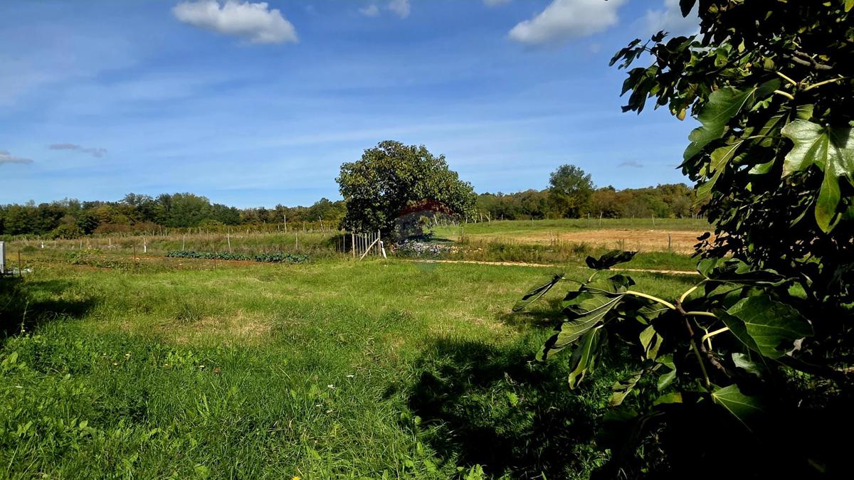 Terreno edificabile Oprtalj, 453m2