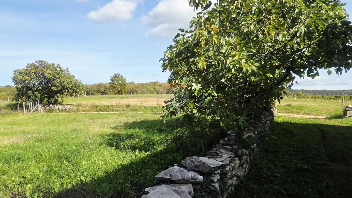 Terreno edificabile Oprtalj, 453m2