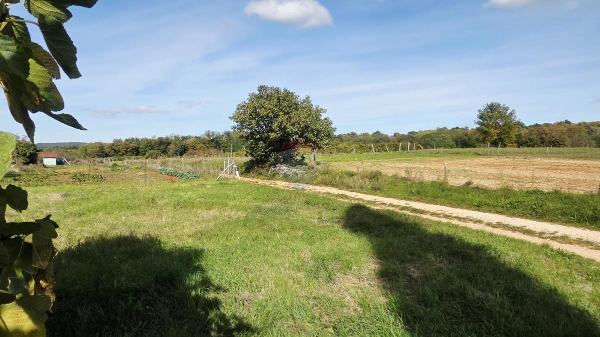 Terreno edificabile Oprtalj, 453m2