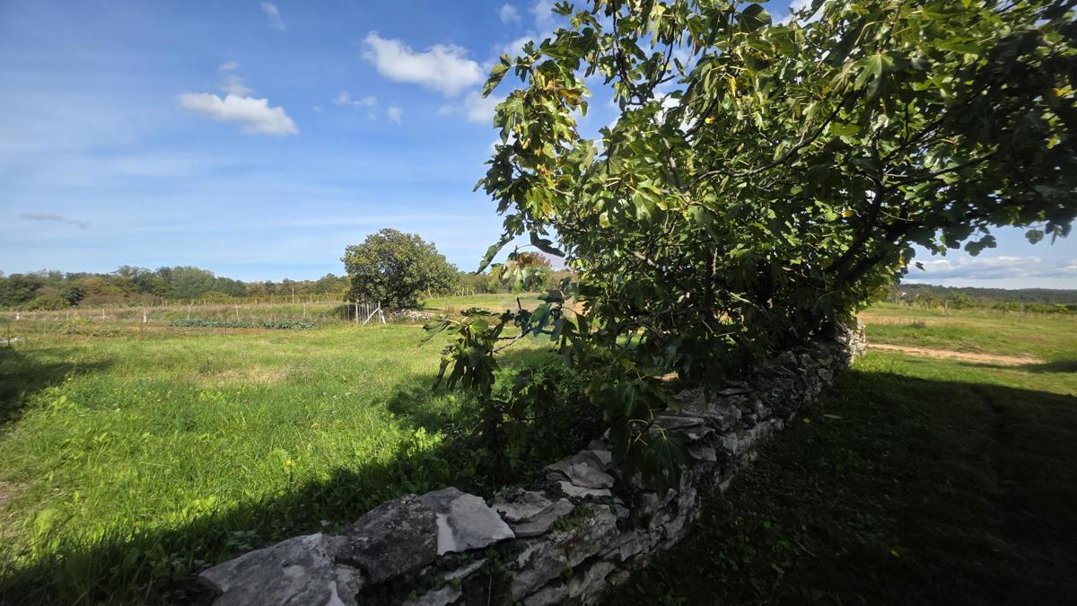 Terreno edificabile Oprtalj, 453m2