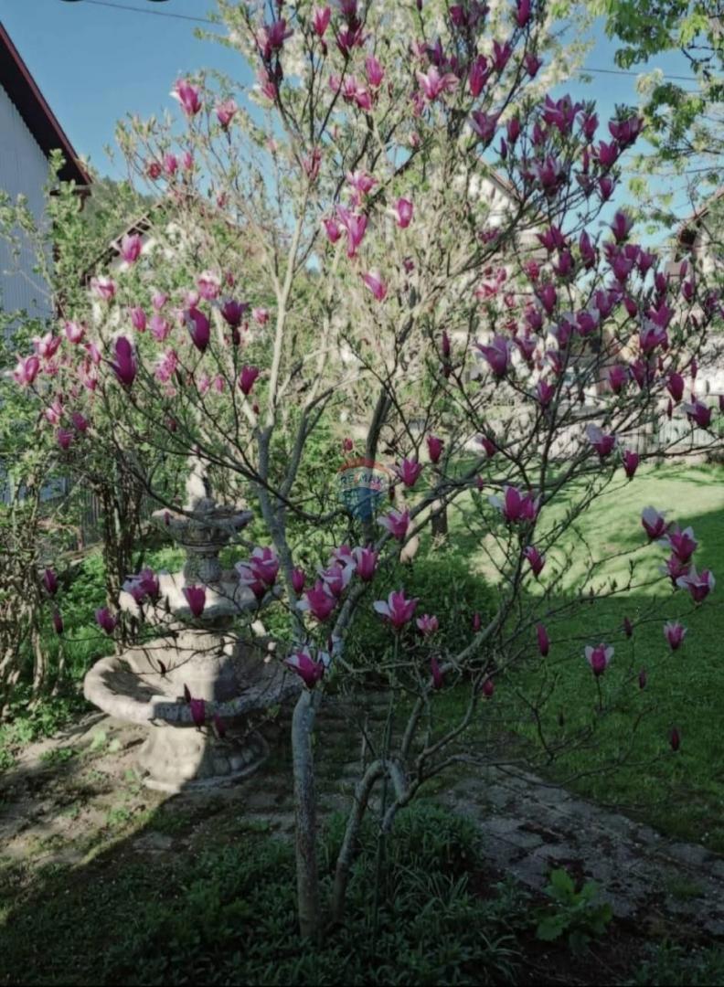 Appartamento Delnice, 829m2