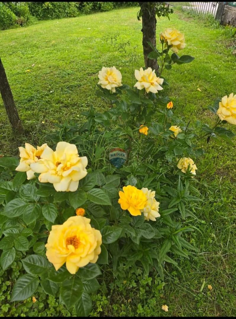 Appartamento Delnice, 829m2